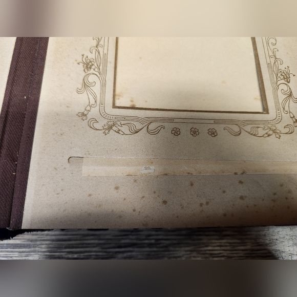 Vtg Victorian Lady & Man CELLULOID PHOTO ALBUM Scrapbook Velvet  Gold Hardware - Picture 13 of 16